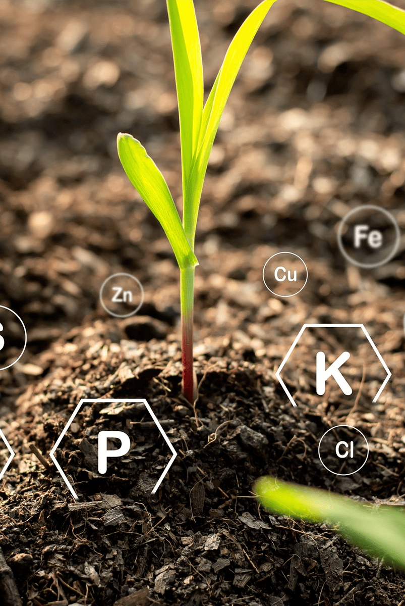 JM%20Fertilizer